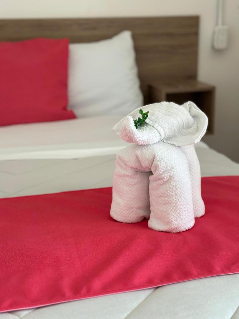 Hotel Plaza Centenario Juan Aldama エクステリア 写真